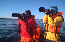 20 scientific programs will be implemented by our scientists this year